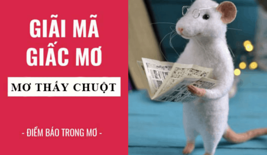  Canh bao: Mo thay chuot va nhung diem bao chang lanh. Mo thay chuot mang den con so thu vi va may man nao?