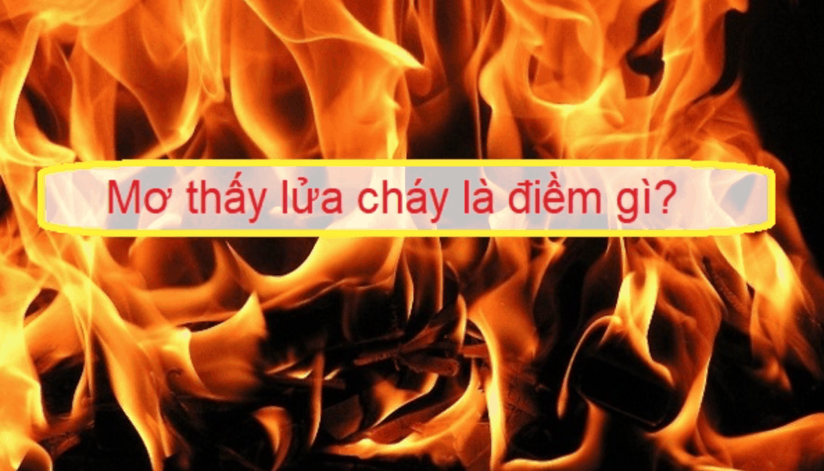  Mo thay lua cho ta biet chuyen gi se xay ra trong tuong lai gan?